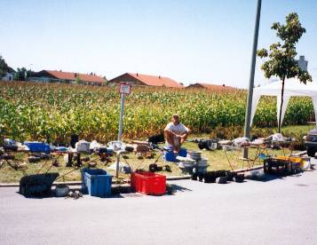 Teilestand Merwald